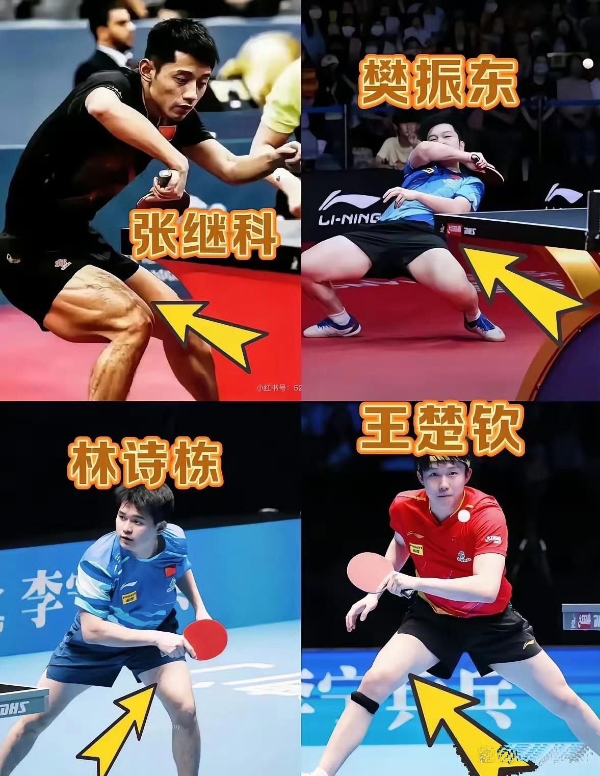 leyusport-德国乒乓球队爆冷波兰乒乓球队，张继科绝境逆转