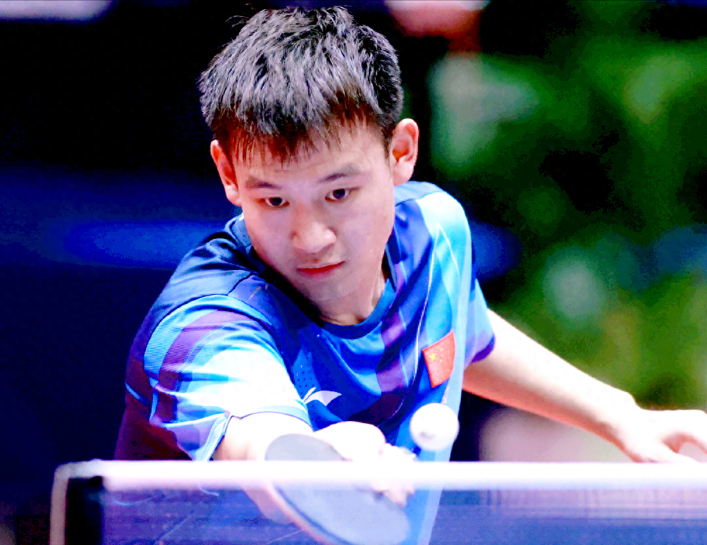 葡萄牙队逆转日本队，王皓高光表现的简单介绍